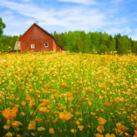 Artisan Glass Utomhus