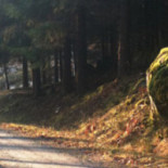 Falkholts Gestgifveri Utomhus