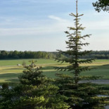 Aada Golf Country Club Utomhus