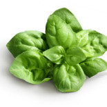 Strömstierna Pizzeria Restaurang Dryck