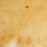 Mickels Pizzeria Dryck