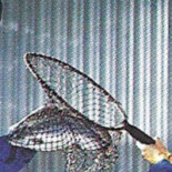 Lilla Laxen Drive In Restaurang Dryck