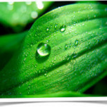 66 Kvadrat Fruängen Dryck