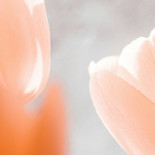 Saltsjöbaden Centrum Dryck