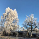 Storstugan Hellasgården Utomhus