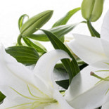 Mjölby Stadshotell Dryck