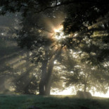 Hehrne Hotell Konferens Utomhus
