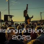 Seaside Björkö Dryck