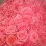 Sassi Caffè Enoteca Dryck