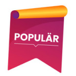 Pizzeria Venezia Logotyp