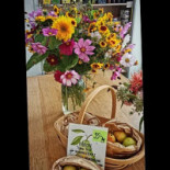 Skaara Gaards Bageri Utomhus