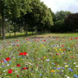 Restaurang Afrodite Utomhus