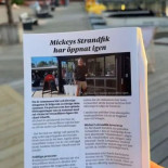 Mickey's Strandfik Meny