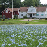 Röe Gård Butik Kafé Utomhus