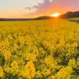 Stegeborgs Hamnkrog Utomhus