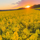 Stegeborgs Hamnkrog Utomhus