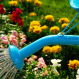 Gamla Örlenbadet Café Och Kiosk Dryck