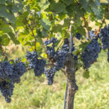 Gamla Örlenbadet Café Och Kiosk Utomhus
