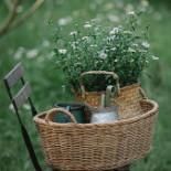 Systrarna Werner Dryck