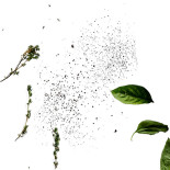 Visby Take Away Dryck