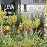 Leva Kungslador Utomhus