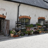 Leva Kungslador Utomhus