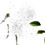 Gute Pizzeria Ab Dryck