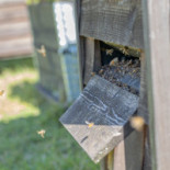 Landvetter Airport Dryck