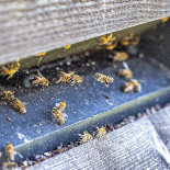 Landvetter Airport Dryck