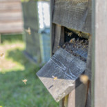 Landvetter Airport Dryck