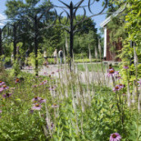 Astrid Lindgrens Näs Utomhus