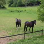 Pensionat Lundåkra Utomhus