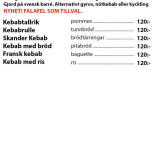 Pizzeria Viking Meny