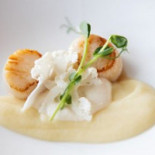 Restaurang Trädgårdsgatan Mat