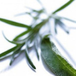 Restaurang Trädgårdsgatan Dryck