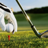 Best Western Plus Edward Dryck