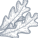 Pizzeria Venus Dryck