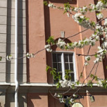 Cafe Vetekornet Utomhus