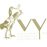 Vy Logotyp
