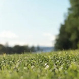 Manheims Säteri Bråviken Den Vänliga Golfrestaurangen Dryck