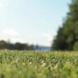 Bråvikens Golfrestaurang Dryck