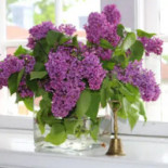 Mauritzbergs Slott Inomhus