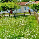 Hällekis Pizzeria Utomhus