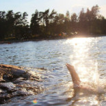 Vita Sandars Camping Utomhus