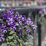 Stenmagasinet Sunnanå Dryck