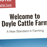 Ankis Hörna Logotyp