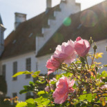 Bosjoekloster Slott Traedgaardar Dryck