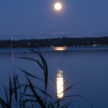 Bosjoekloster Slott Traedgaardar Utomhus