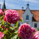 Bosjoekloster Slott Traedgaardar Utomhus