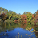 Backafallsbyn Utomhus